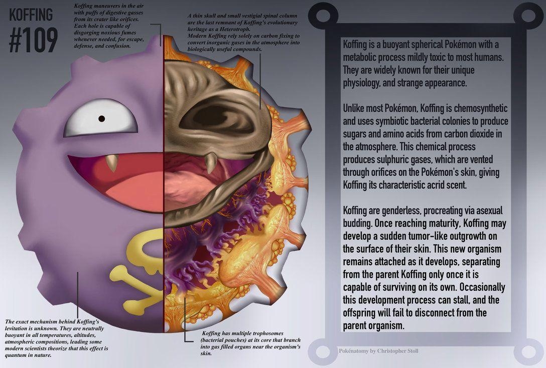 1090x740 Koffing Anatomy Pokedex Entry By Christopher Stoll, Desktop