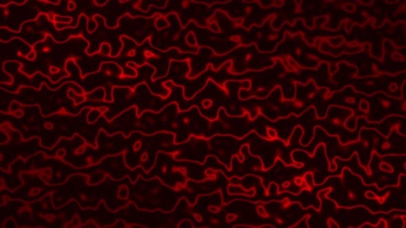 590x340 Red Topographic Lines Loop Background, Desktop