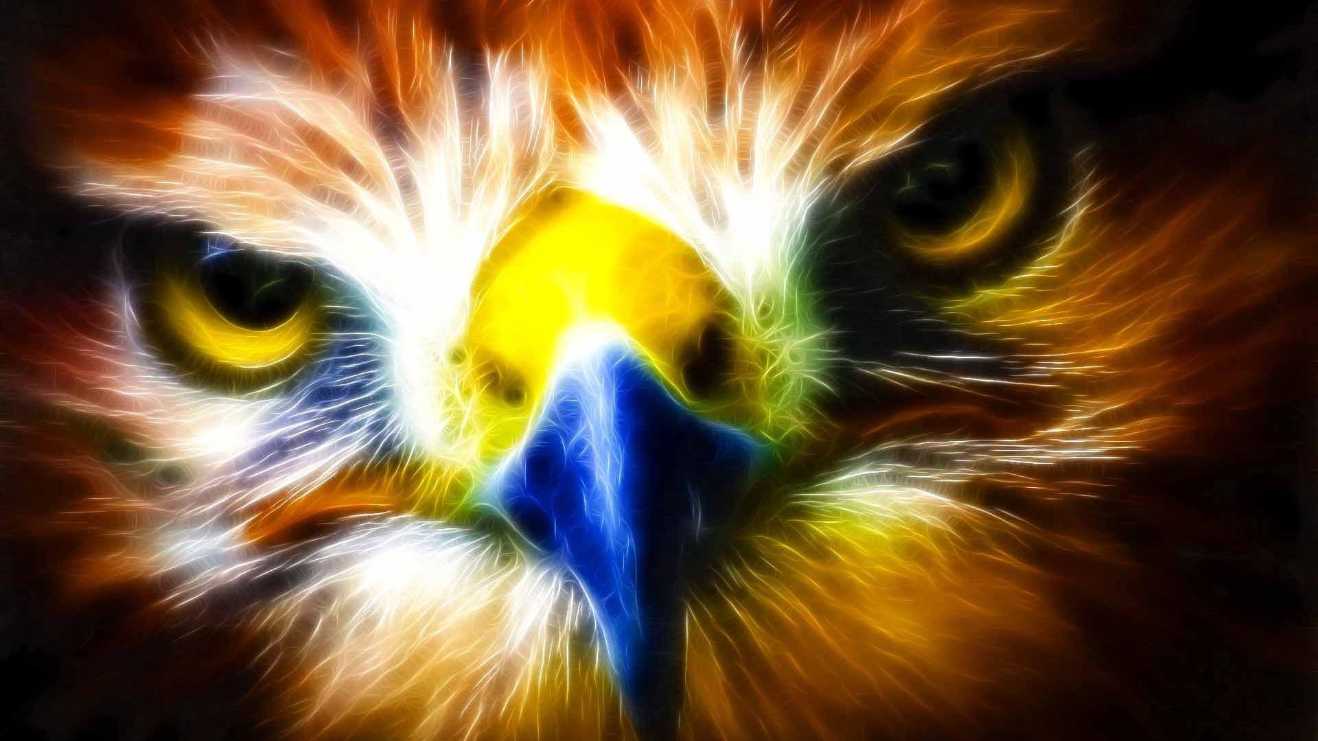 1920x1080 Eagle Wallpaper Free Download, Desktop