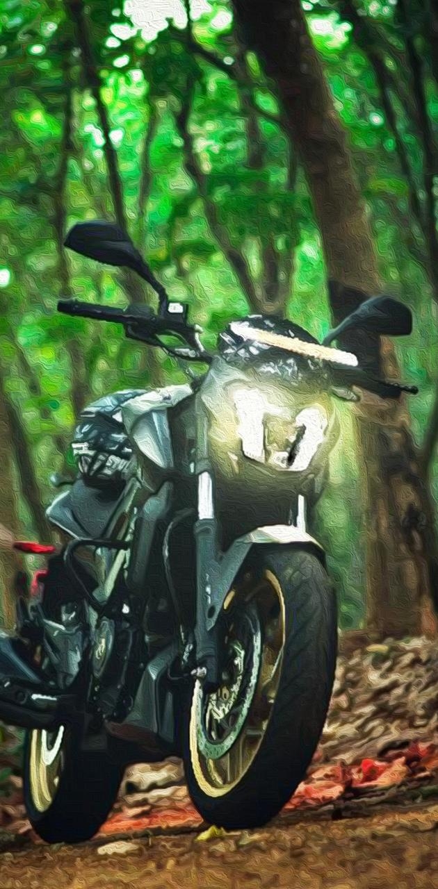 630x1280 Dominar Bike wallpaper, Phone