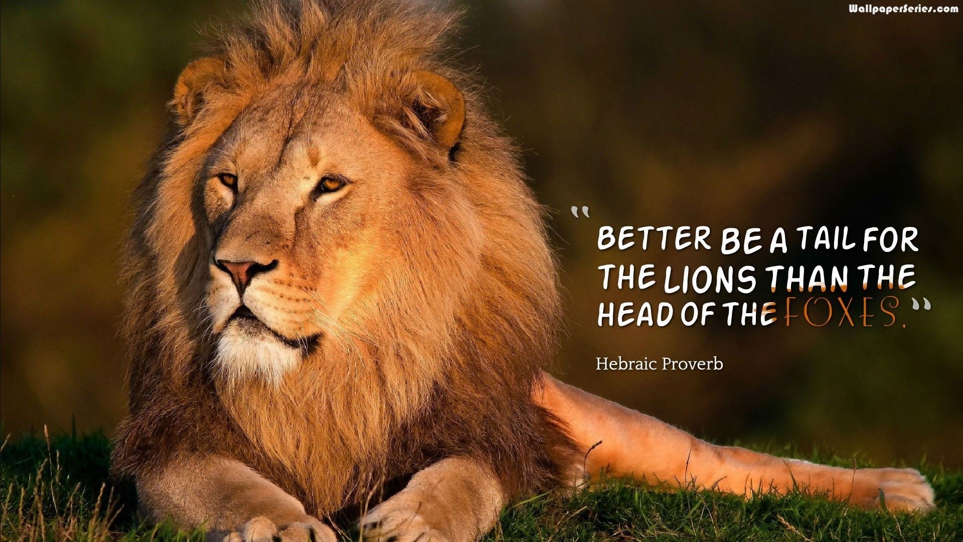 1920x1080 Leadership Lion Quotes Wallpaper 10718, Desktop