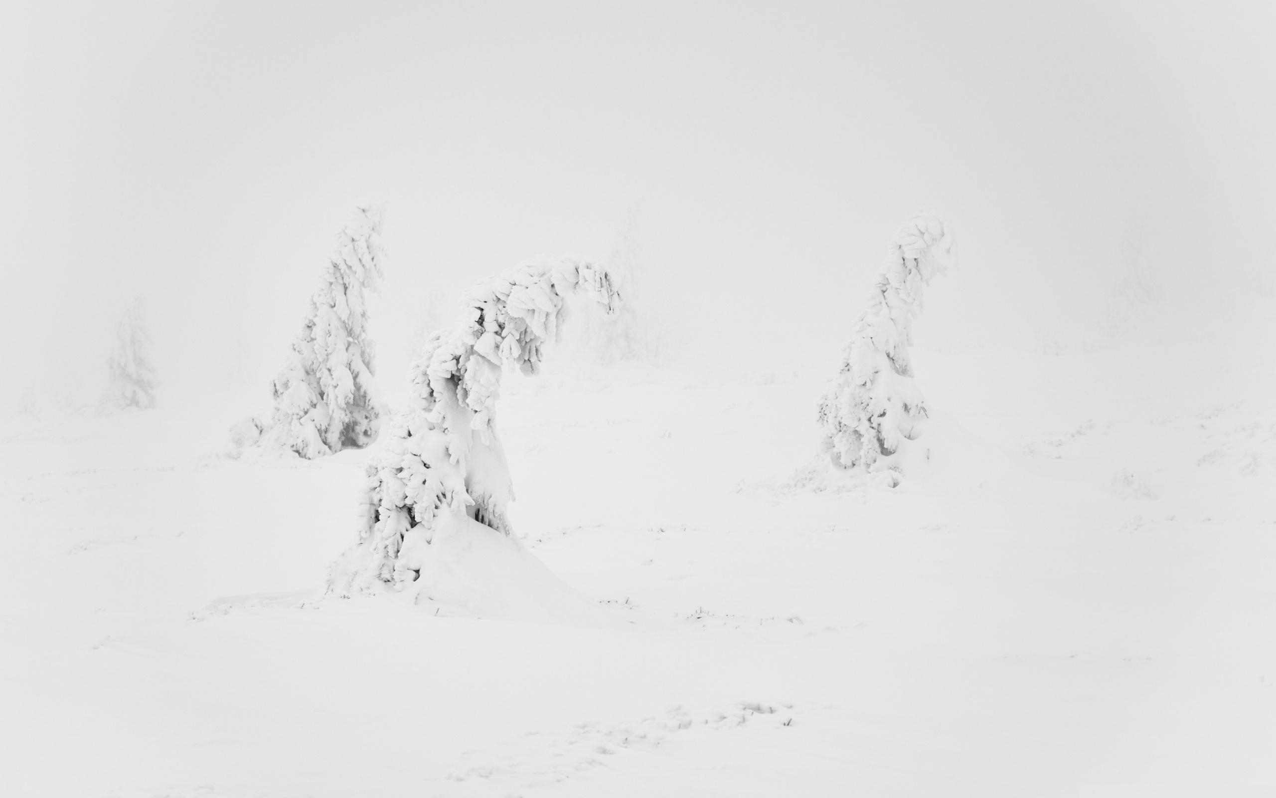 2560x1600 Winter White Snow Aesthetic Ultra HD Desktop Background Wallpaper, Desktop