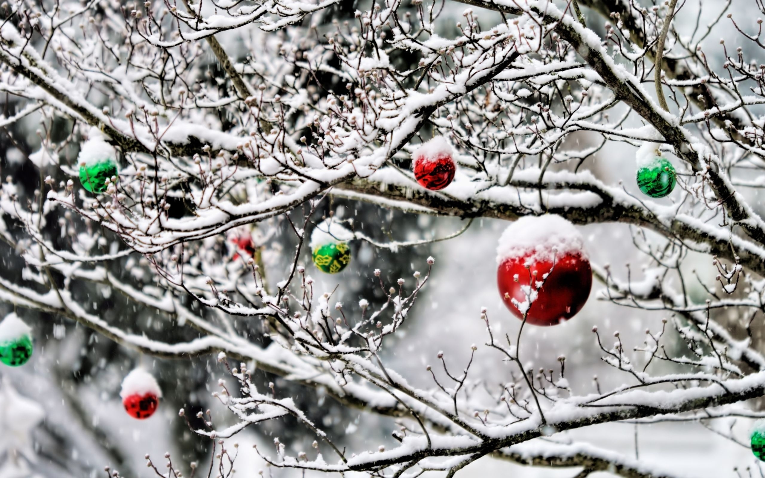 2560x1600 Best Christmas Mac Wallpaper Free HD Download, Desktop