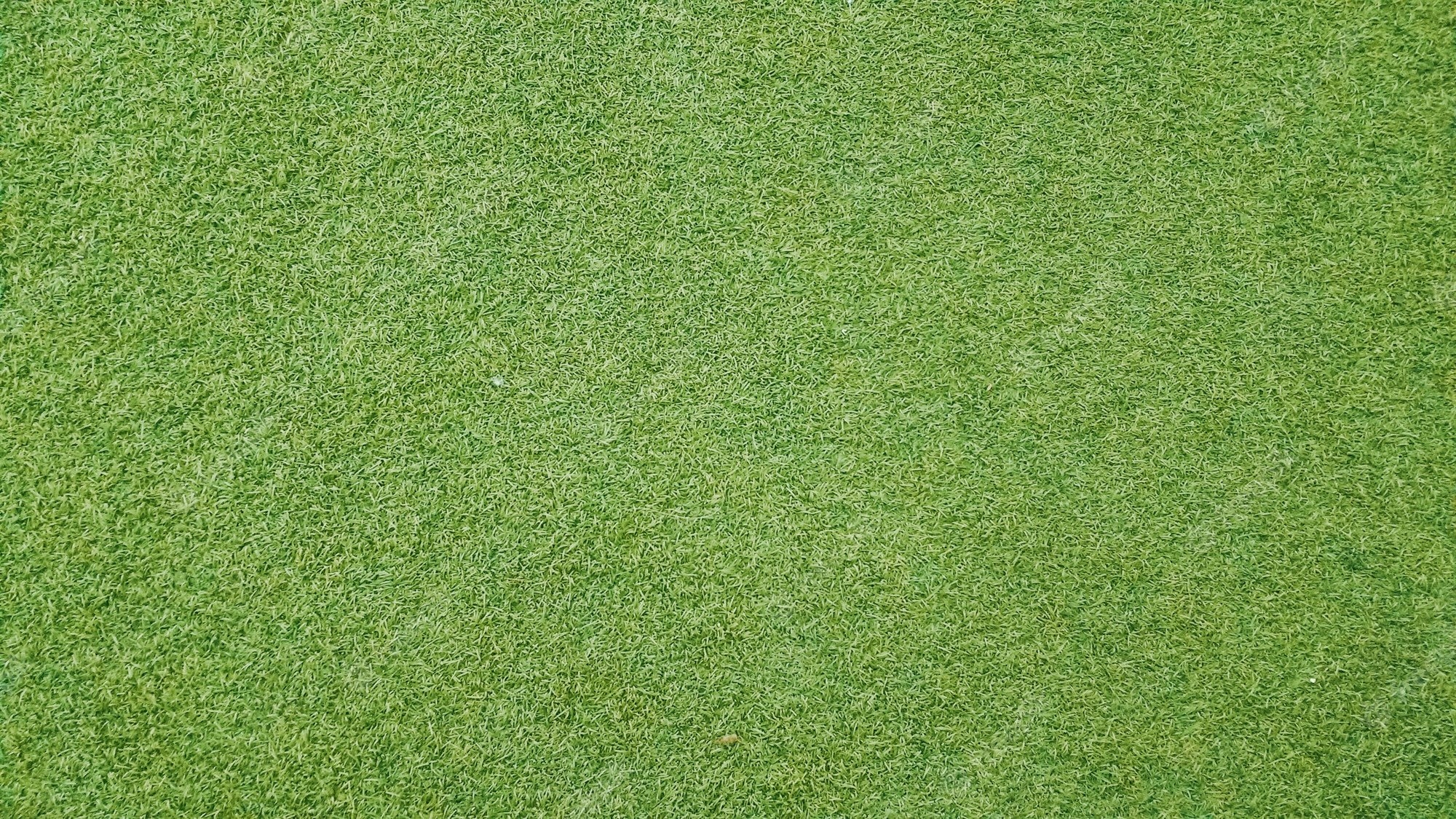 2000x1130 Grass Texture Image, Desktop