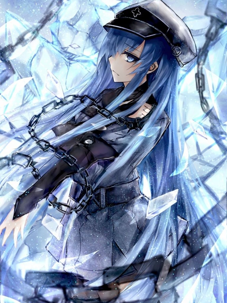 770x1030 Free download Akame ga kill Esdeath.wallpaperafari.com, Phone