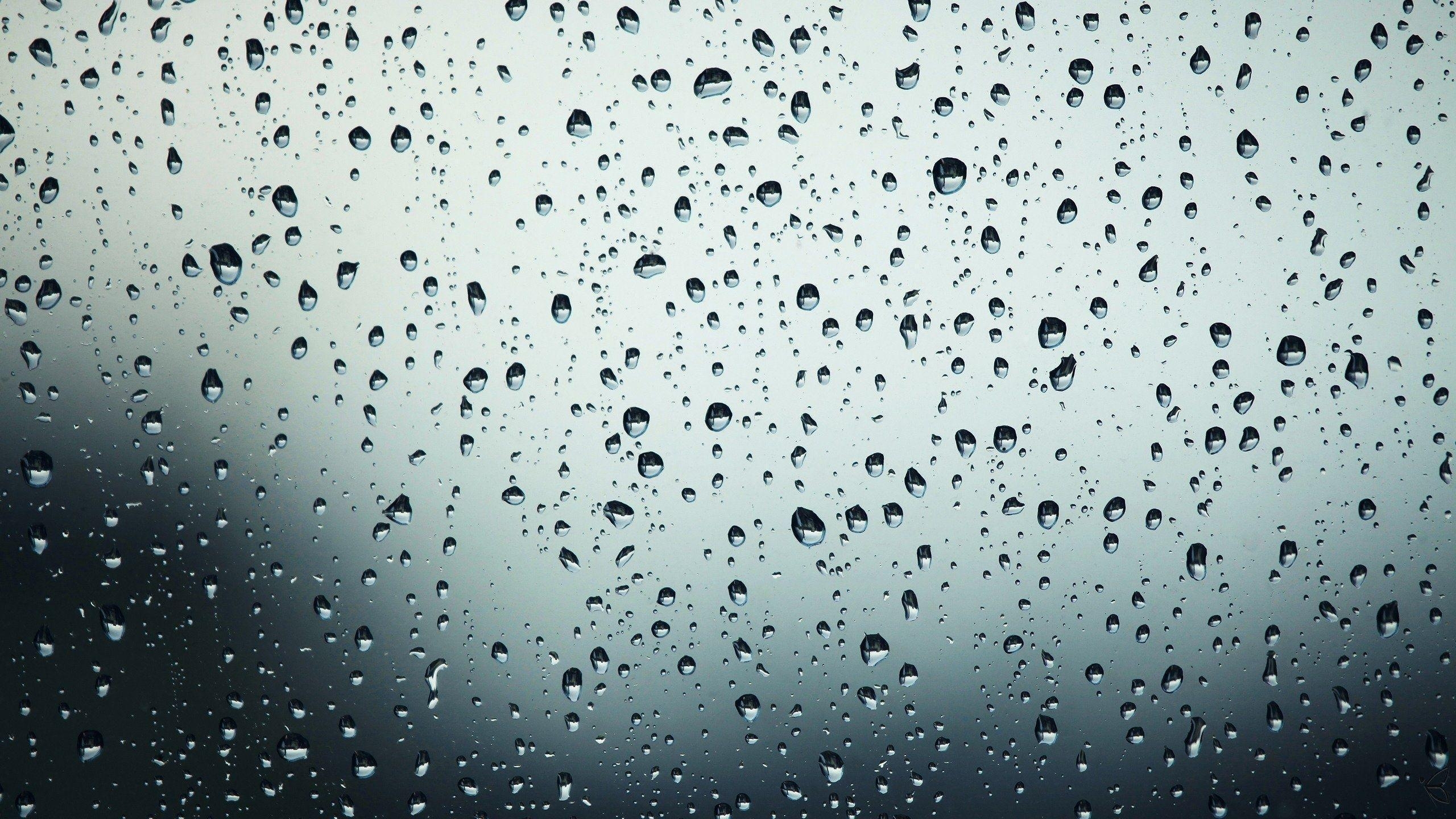 2560x1440 Water drops desktop PC and Mac wallpaper, Desktop