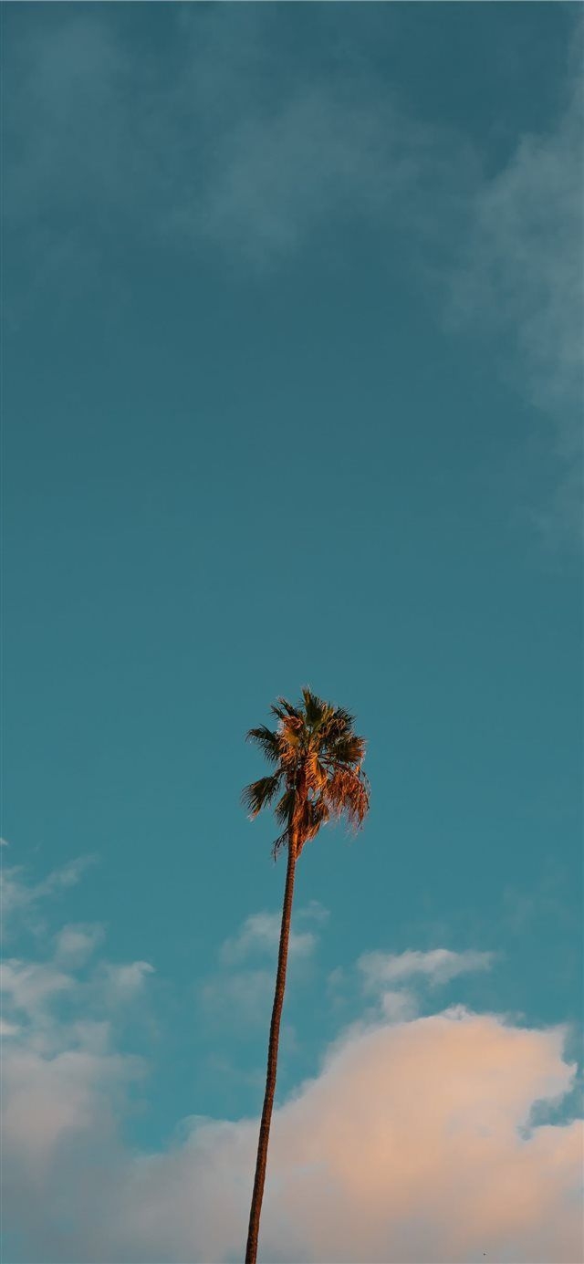 640x1390 Blue Sky iPhone Wallpaper Free Blue Sky iPhone Background, Phone