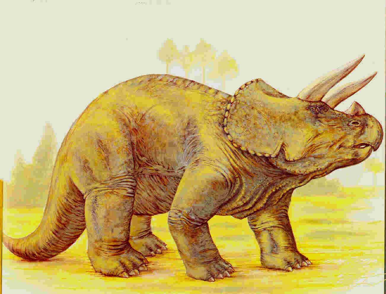 1310x1000 Triceratops (Illustration), Desktop