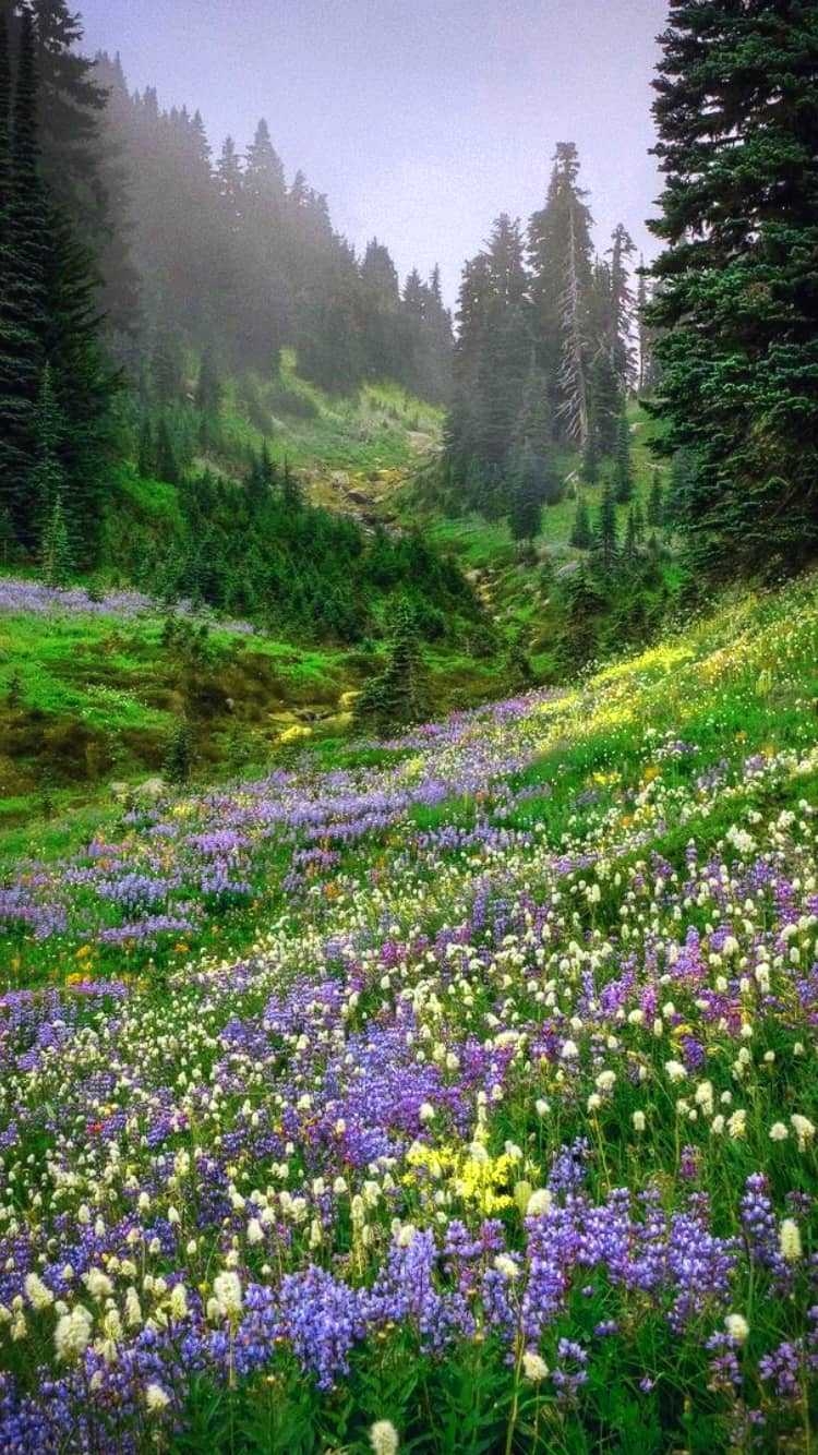 750x1340 Cottagecore Wallpaper, Phone
