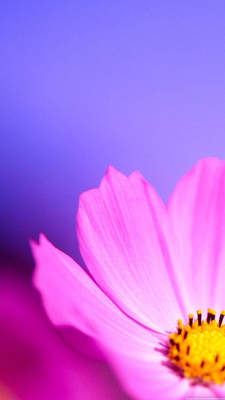 720x1280 Samsung Galaxy s Wallpaper Malumaat Ki Duniya 720×1280 Samsung, Phone