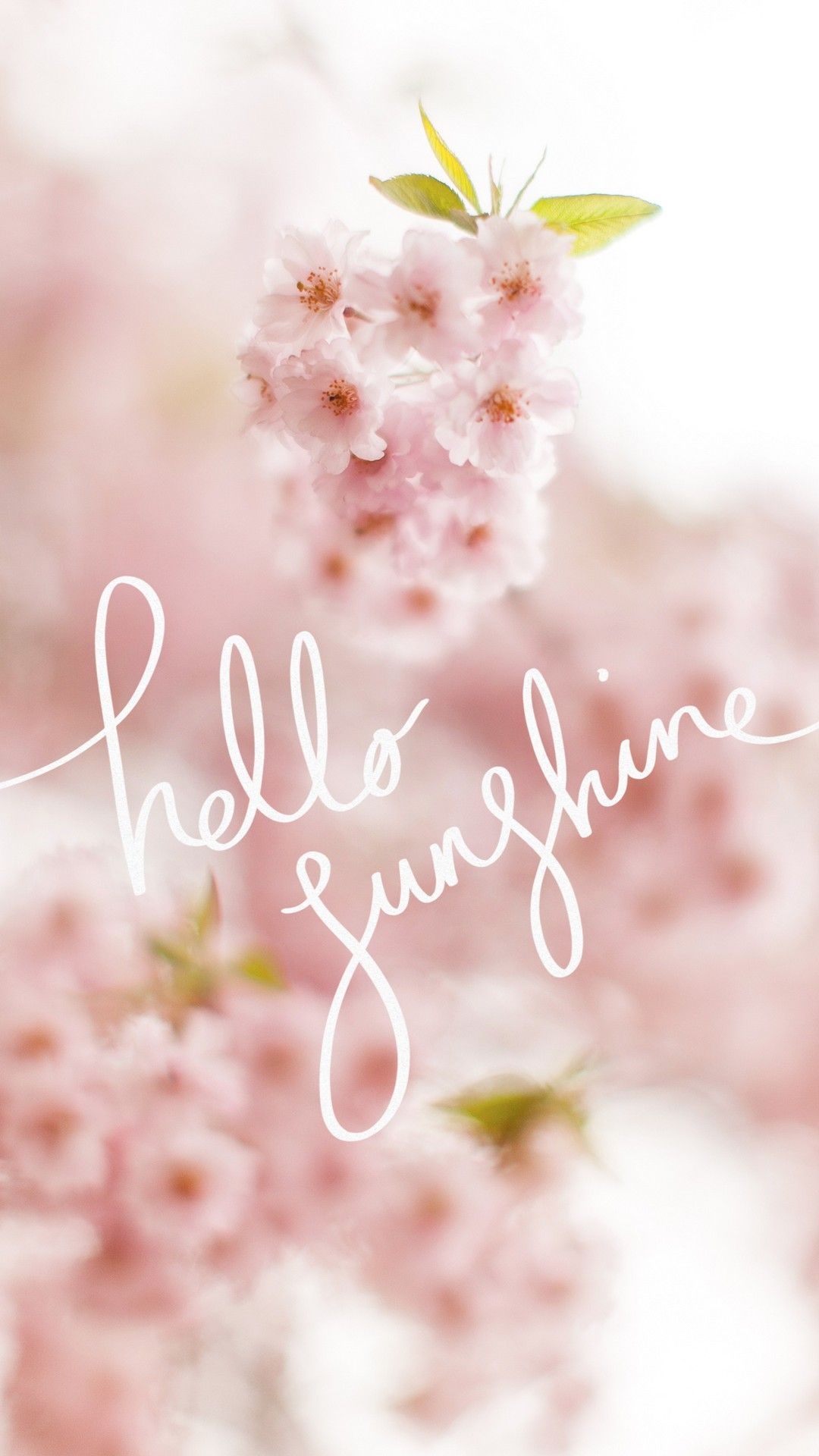 1080x1920 Cute Spring Phone Wallpaper Free Cute Spring Phone Background, Phone