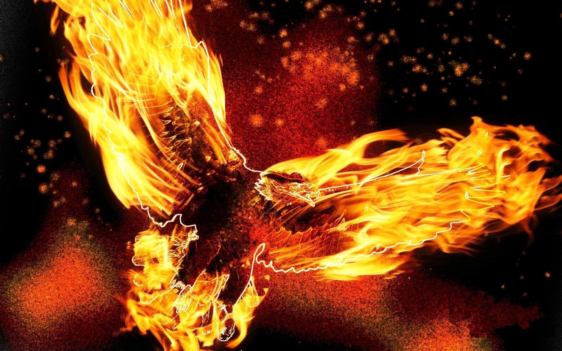 1920x1200 fire eagle Wallpaper HD / Desktop and Mobile Background, Desktop