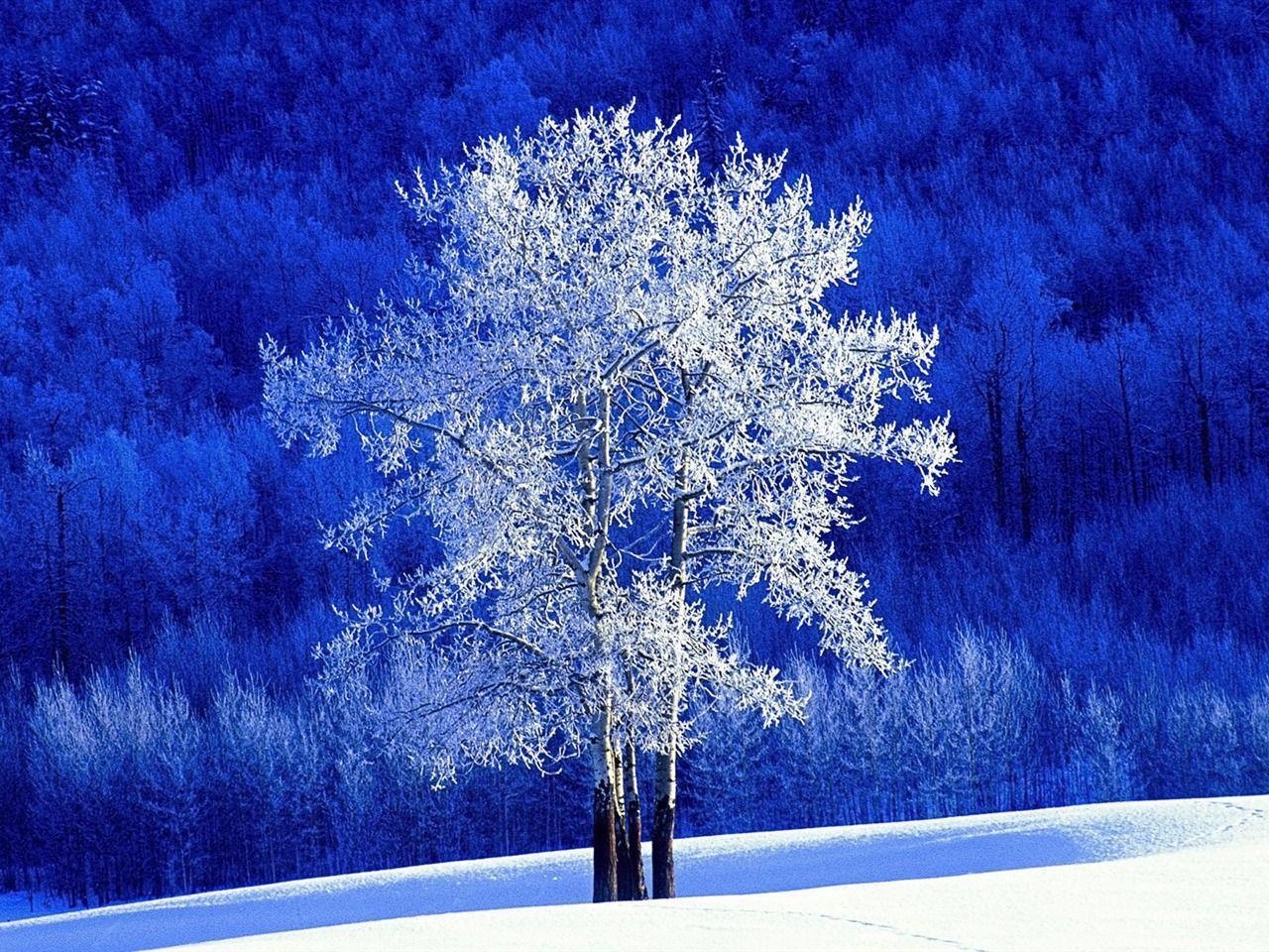 1280x960 animated snow desktop wallpaper, Desktop