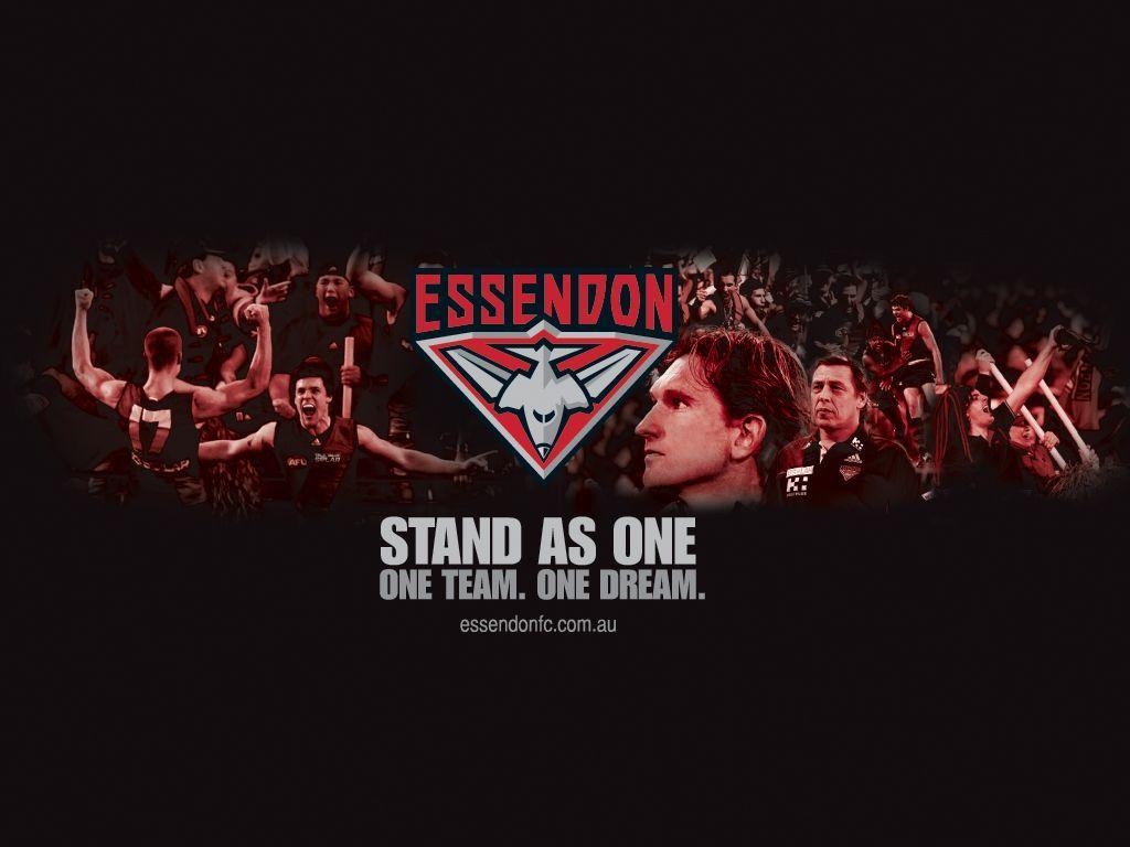 1030x770 essendon football club Football Club, Desktop