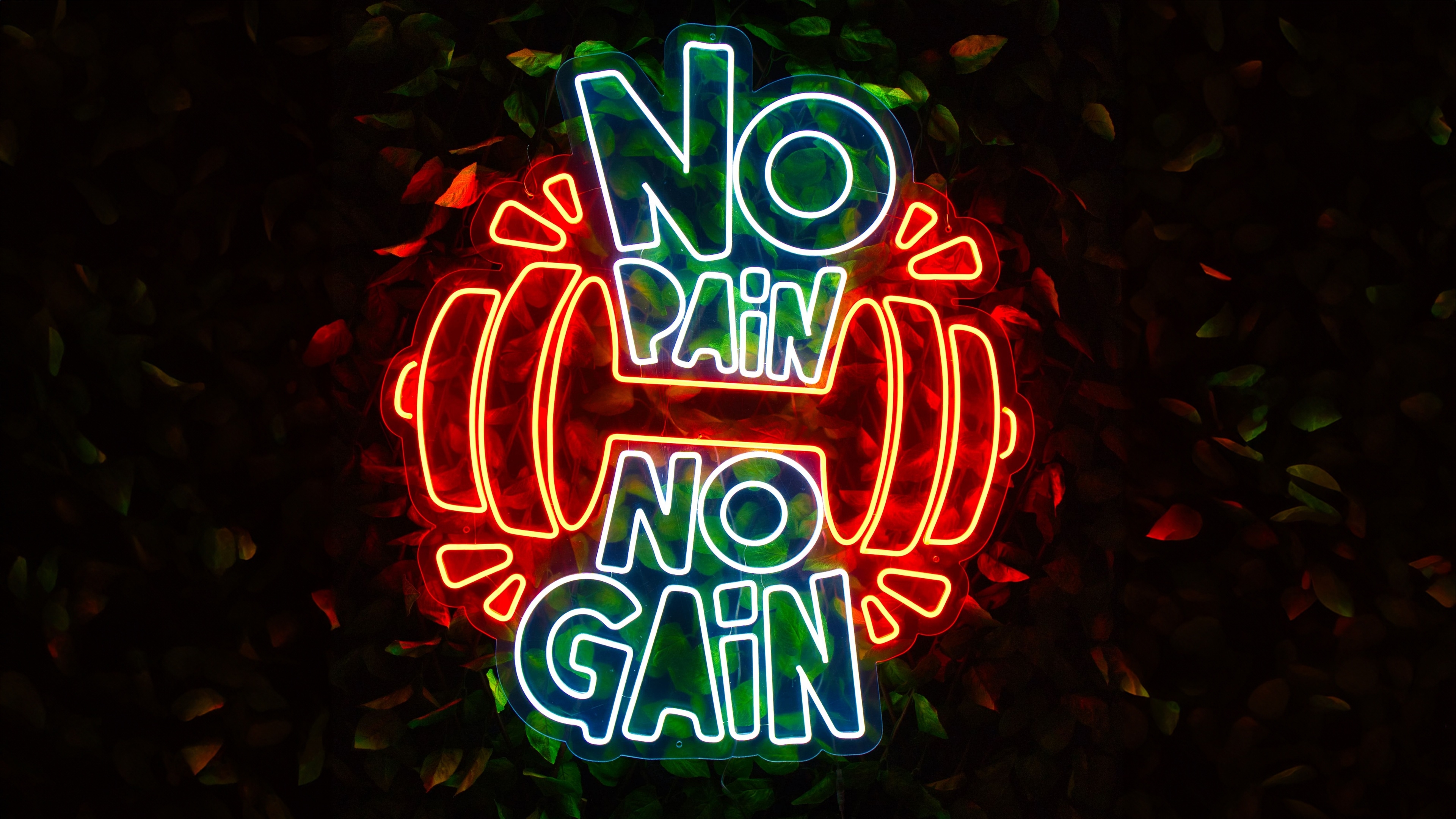 3840x2160 No pain No gain Wallpaper 4K, Neon sign, Desktop