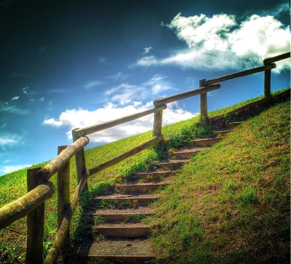 1010x920 Grass: Stairway Heaven Grass Free Desktop Background for HD 16:9, Desktop