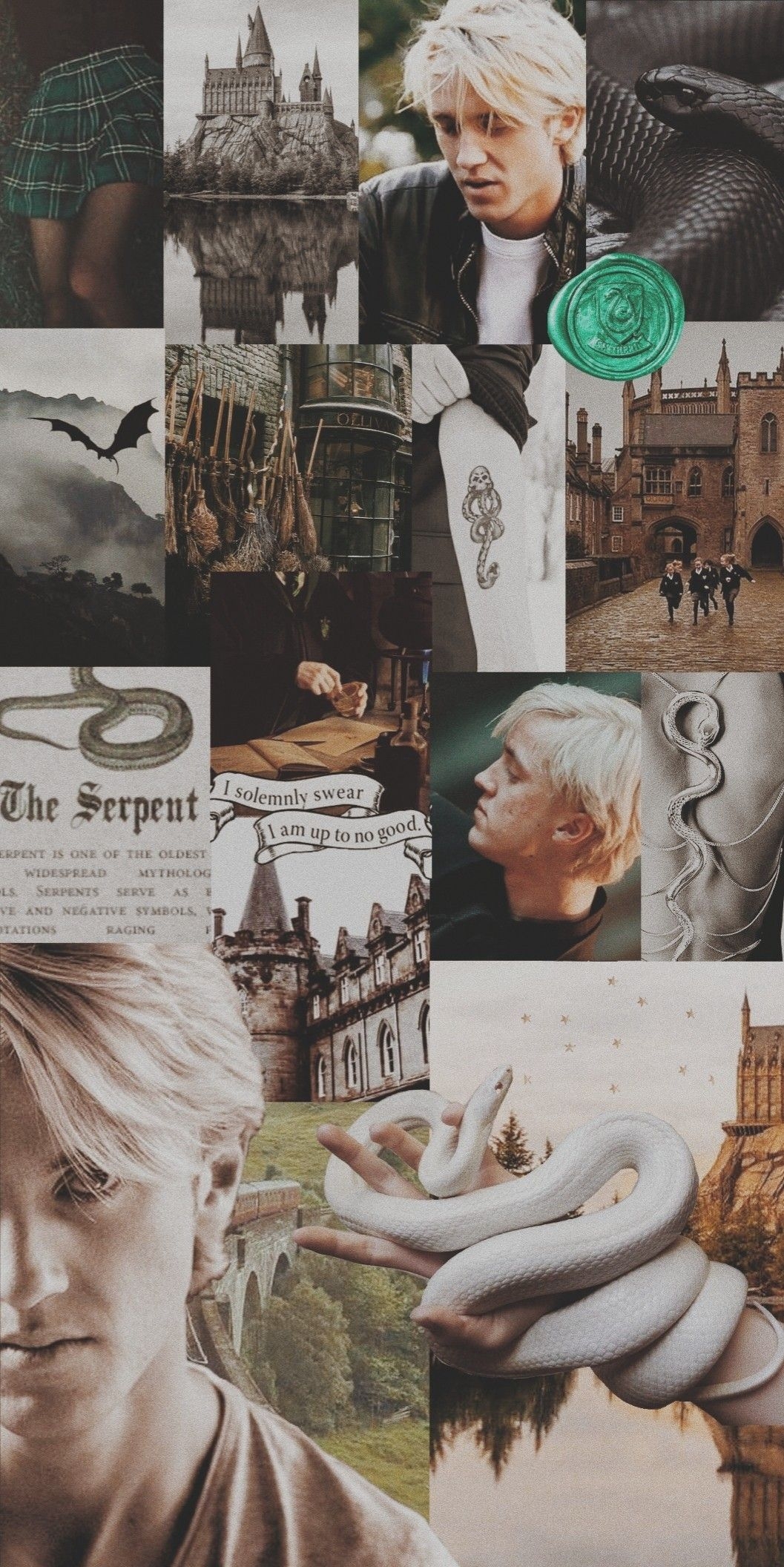 1060x2120 Draco Malfoy aesthetic wallpaper. Draco malfoy, Harry potter draco malfoy, Draco harry potter, Phone