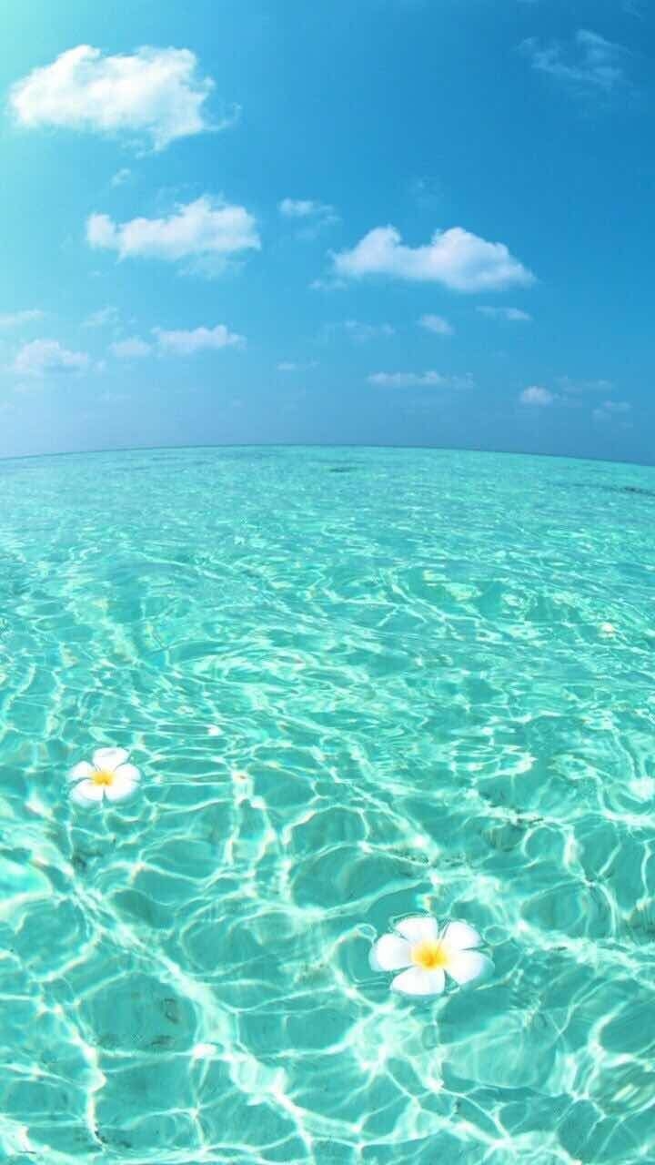 720x1280 Summer Wallpaper For Android, Phone