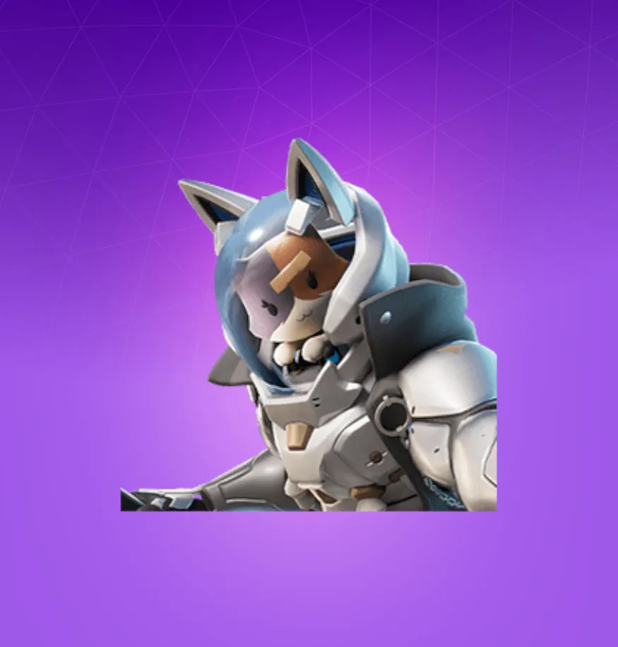 880x920 Katt Fortnite wallpaper, Phone