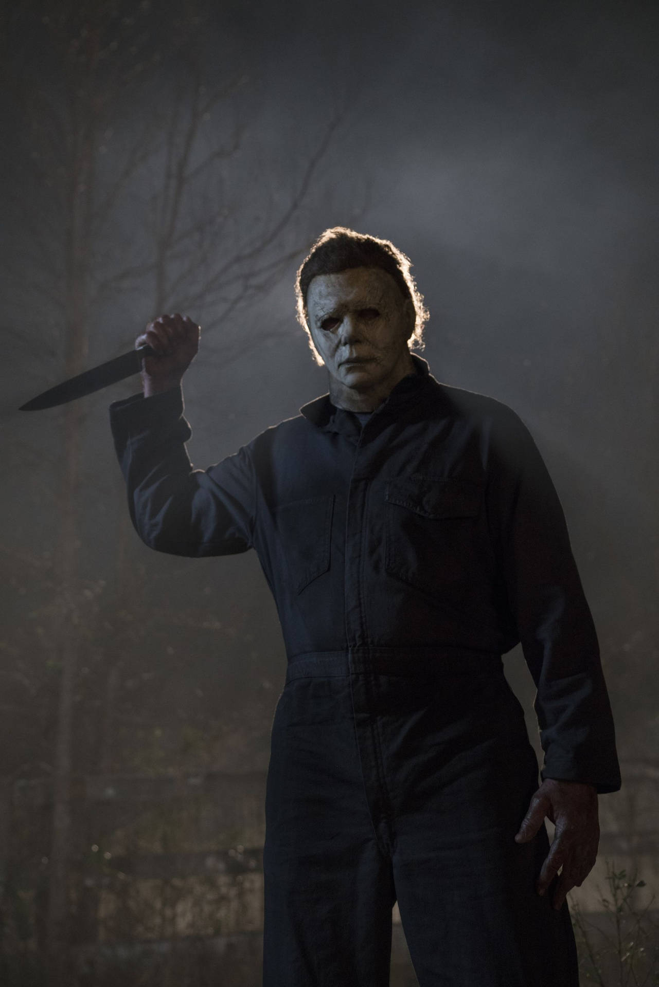 1290x1920 Download Halloween Kills Michael The Killer Wallpaper, Phone