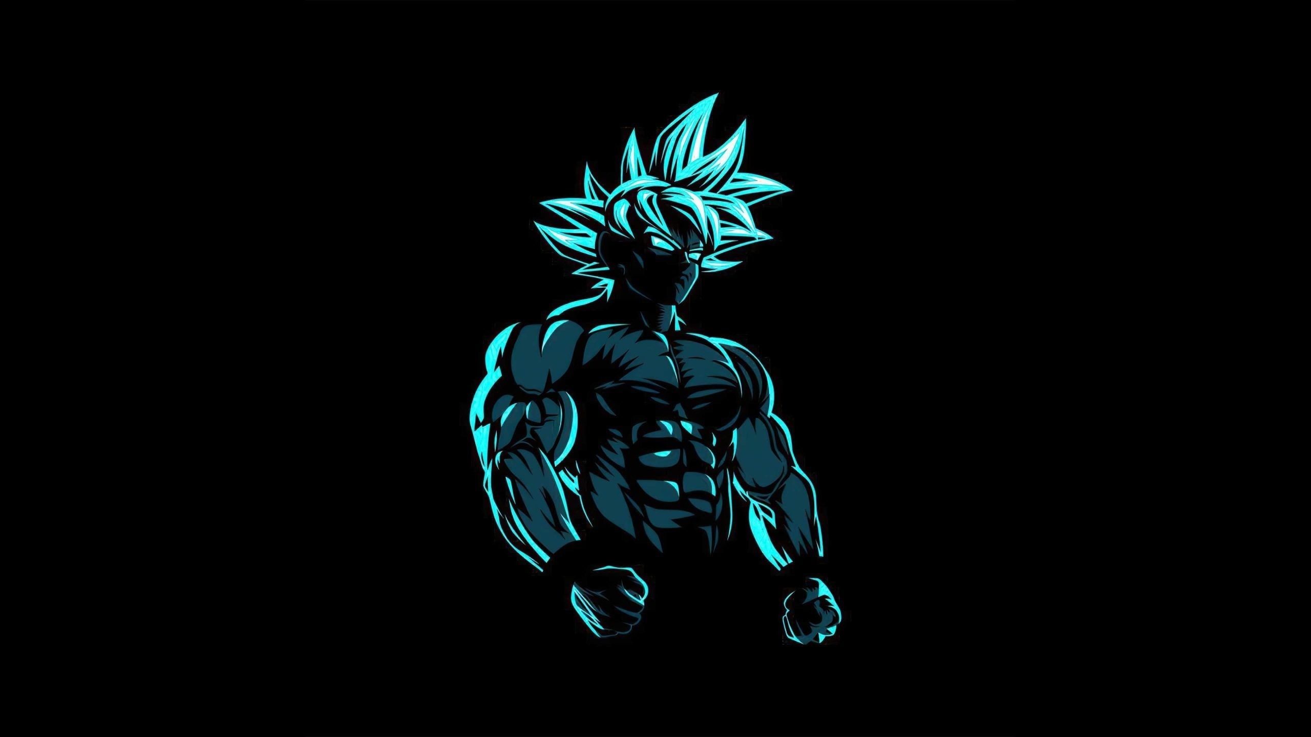 2560x1440 Goku 4k Wallpaper, Desktop