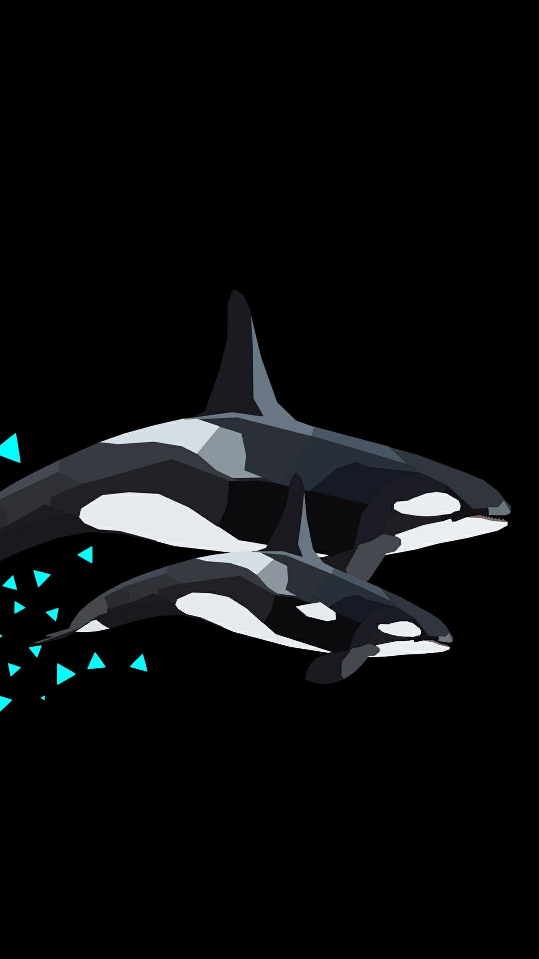 1080x1920 Orca iPhone Wallpaper Free Orca iPhone Background, Phone