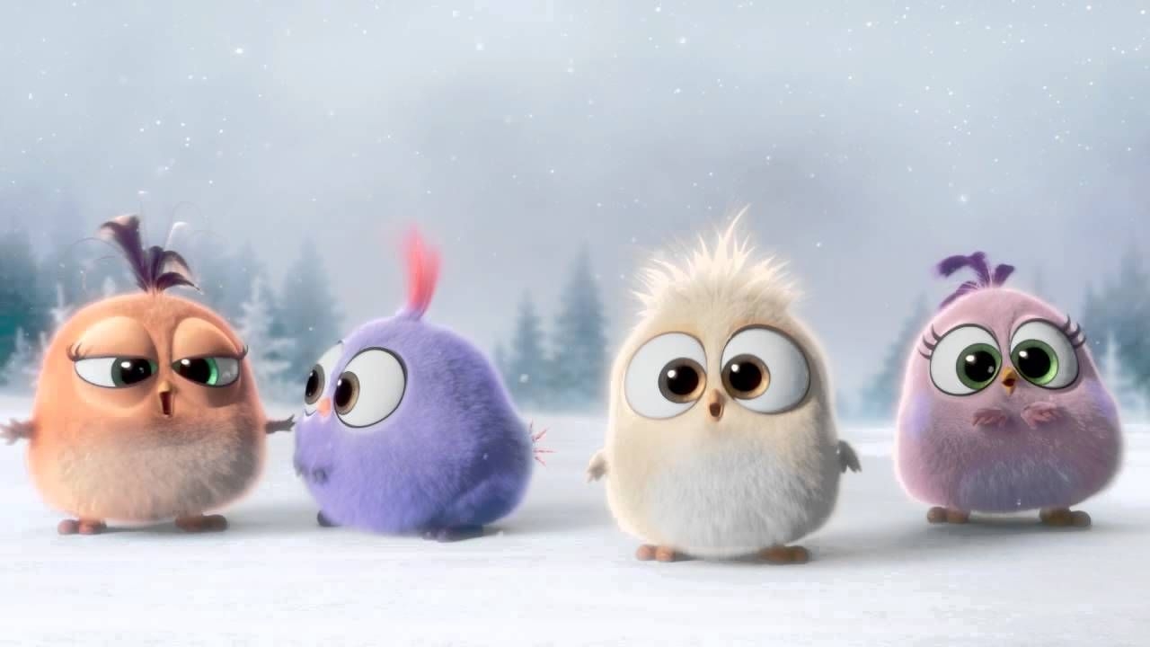 1280x720 Angry Birds Hatchlings Holiday Episode 016. Angry birds movie, Angry birds, Birds, Desktop