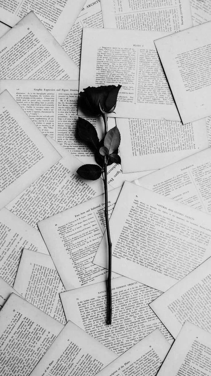700x1250 Black rose discovered, Phone