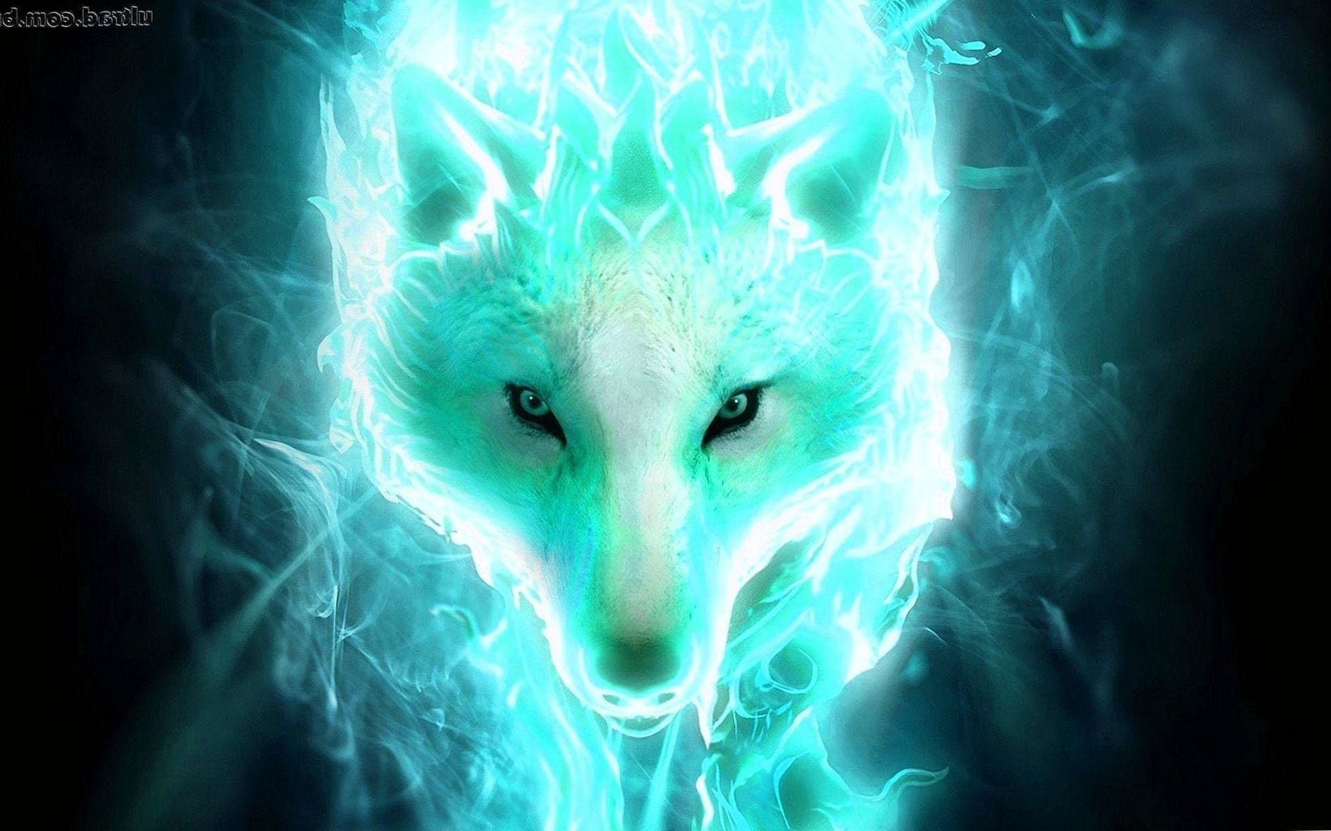 1890x1180 Cool Neon Wolf Wallpaper Wallpaper.Pro, Desktop