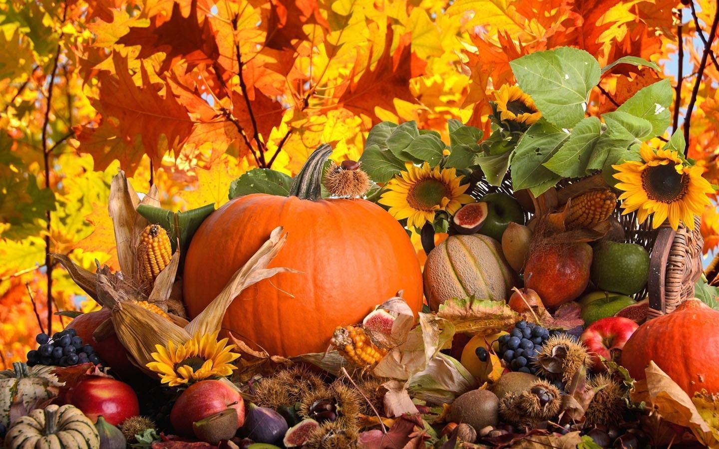 1440x900 Thanksgiving Day Wallpaper Apps on Google Play, Desktop