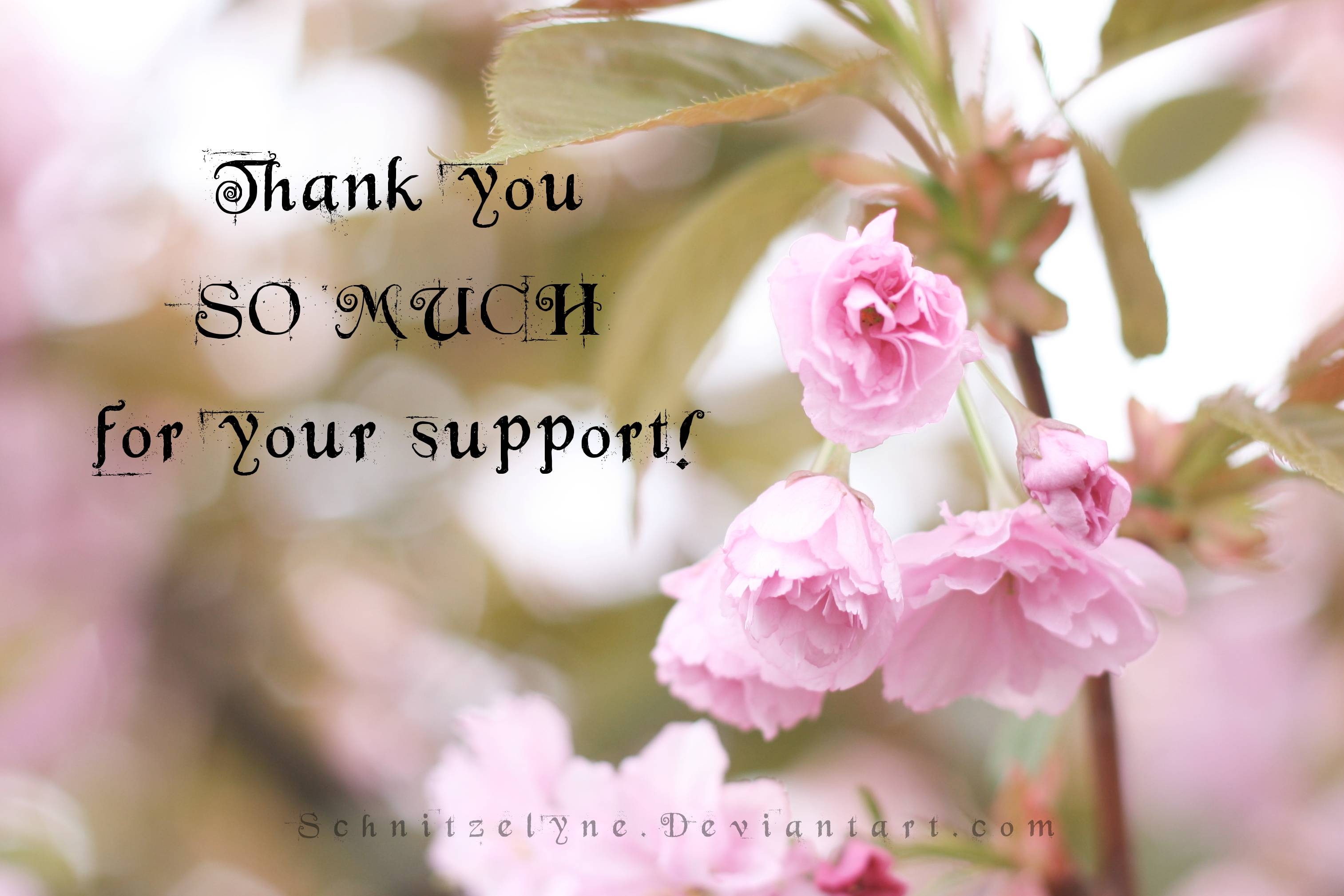 3030x2020 Thank you! + Wallpaper Download, Desktop