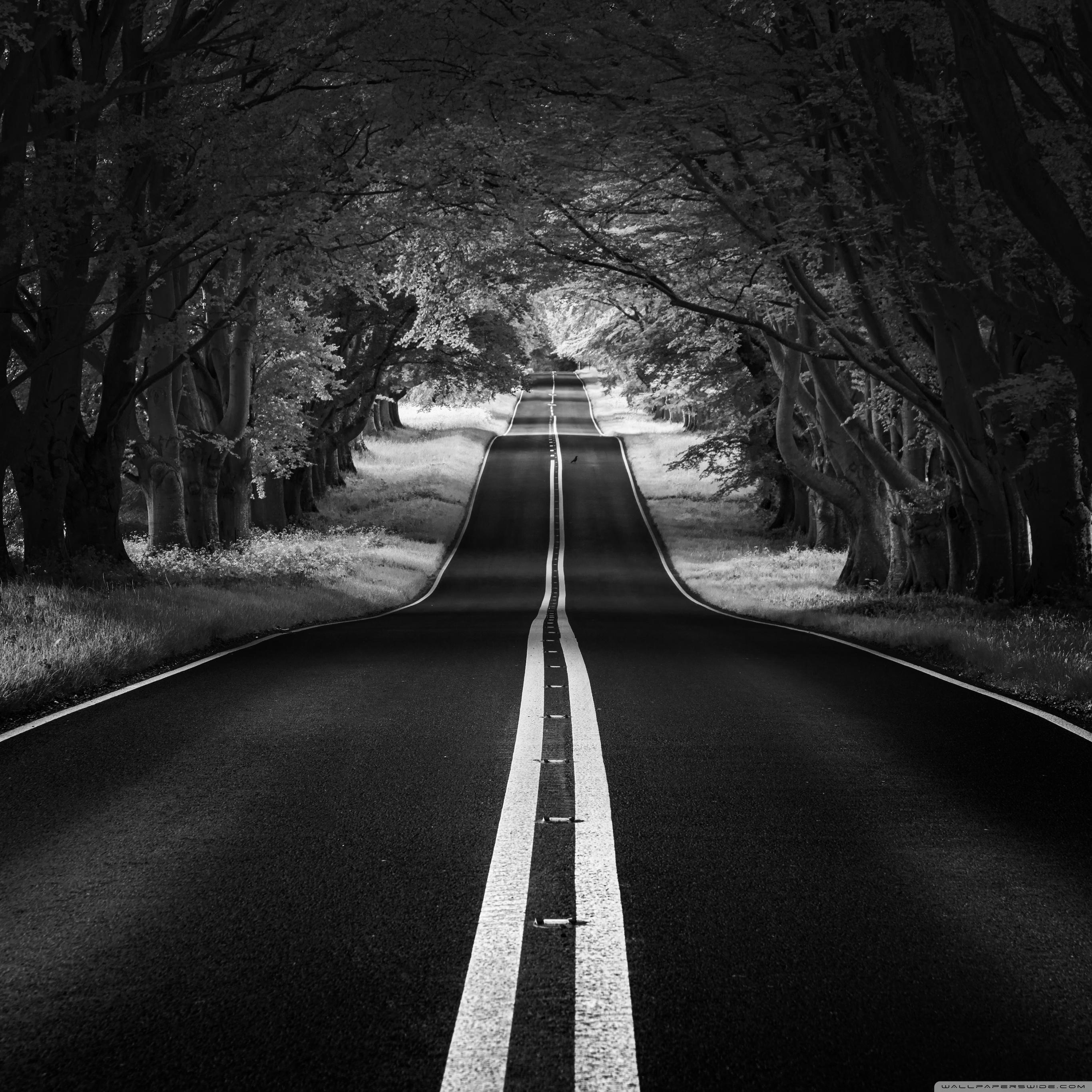 2740x2740 Road Landscape, Aesthetic, Black and White Ultra HD Desktop Background Wallpaper for 4K UHD TV, Widescreen & UltraWide Desktop & Laptop, Tablet, Phone