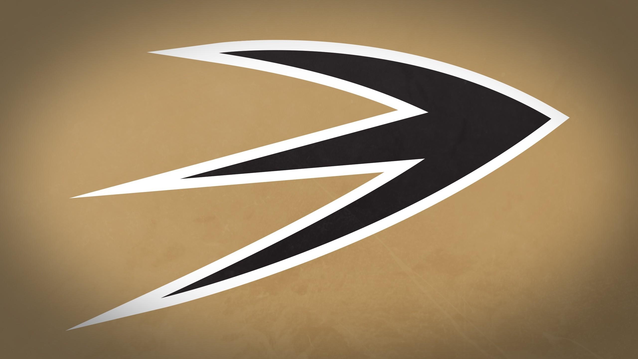 2560x1440 Anaheim Ducks HD Wallpaper, Desktop