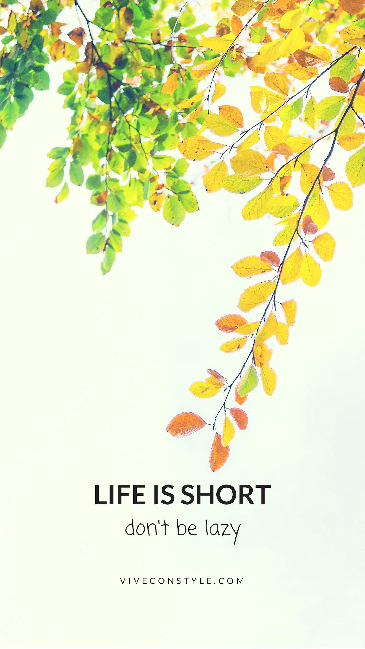 1440x2570 Life is short Don't be lazy. Life ramanders. Phone wallpaper, Phone