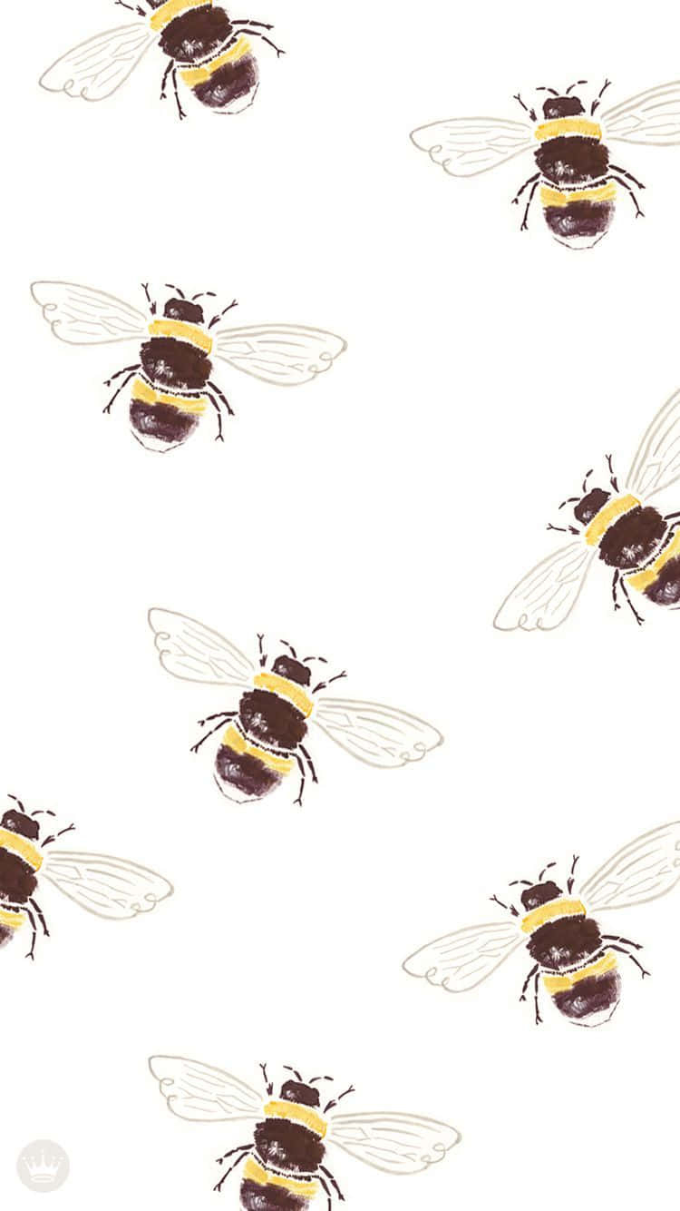 750x1340 Bee iPhone Wallpaper, Phone