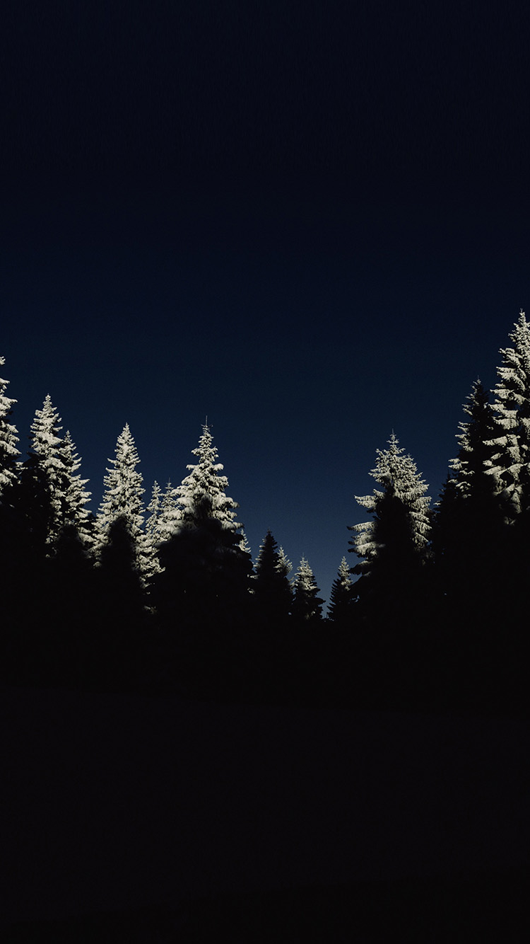 750x1340 iPhone X wallpaper. wood winter night mountain minimal, Phone