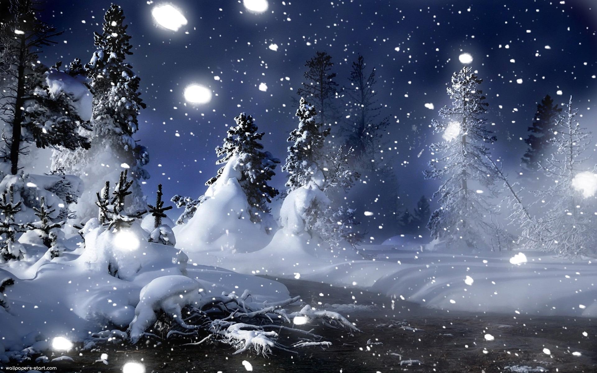 1920x1200 Snowy Night Full HD Wallpaper 14652, Desktop