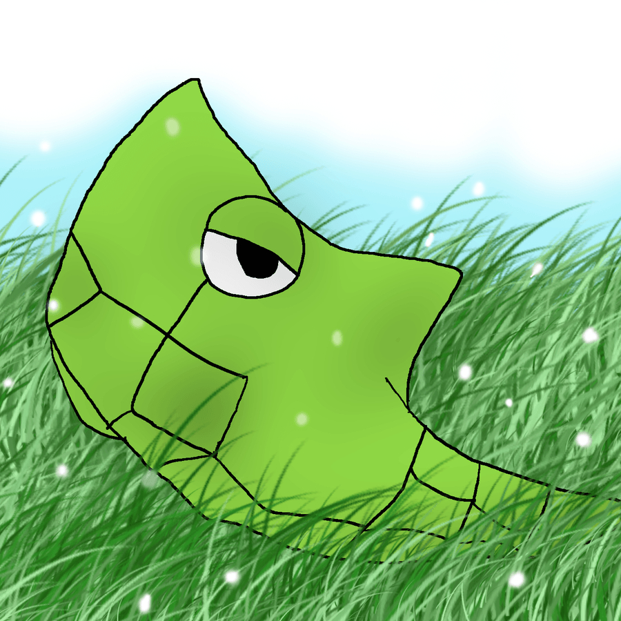 900x900 mobile metapod wallpaper, Phone