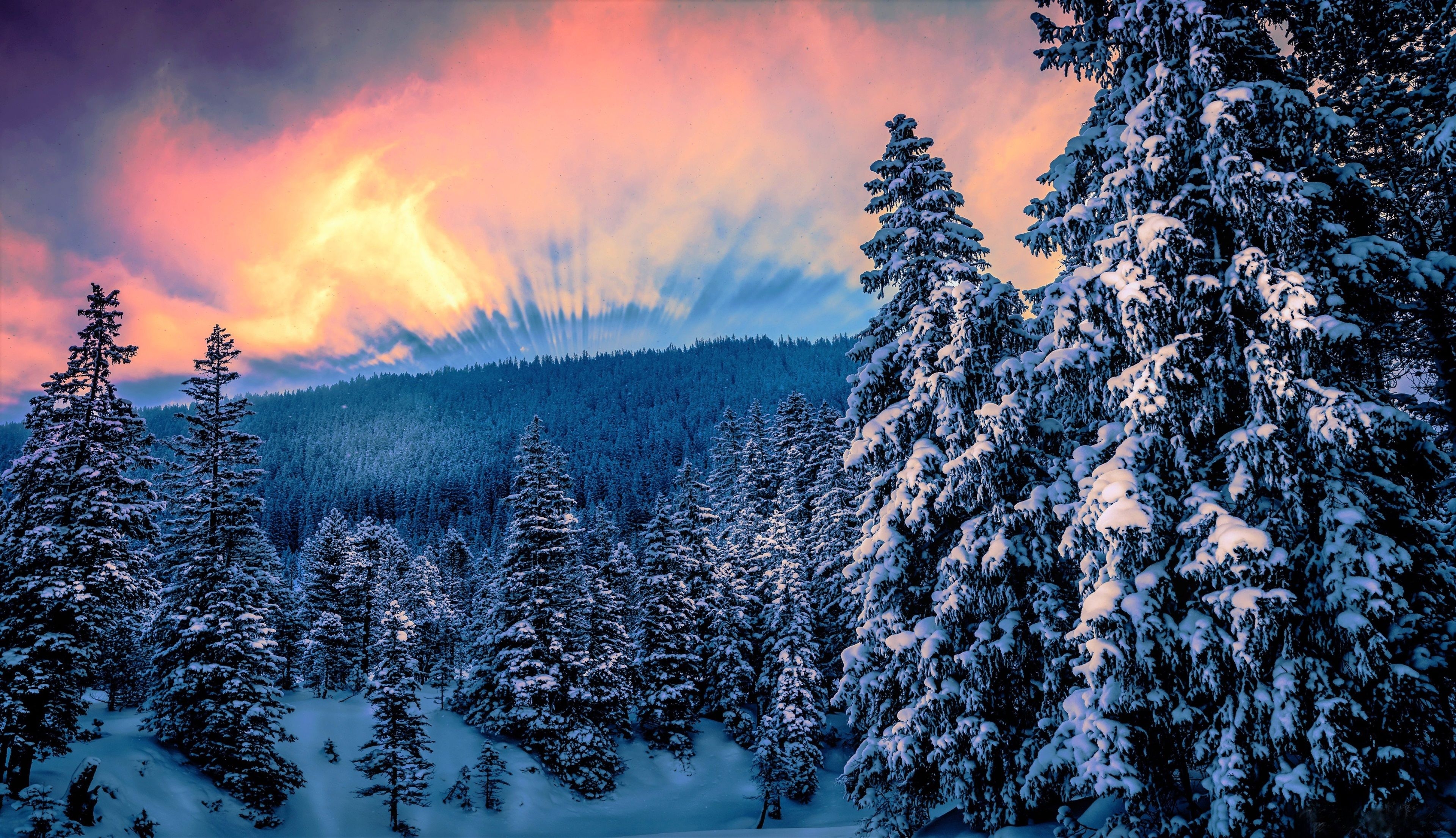 3840x2220 HD Winter Wallpaper For Pc, Desktop