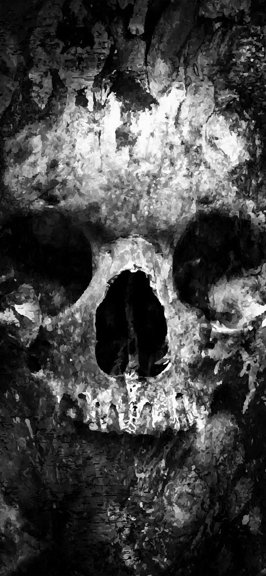 1130x2440 iPhone X wallpaper. skull face ark paint illustration art bw dark, Phone