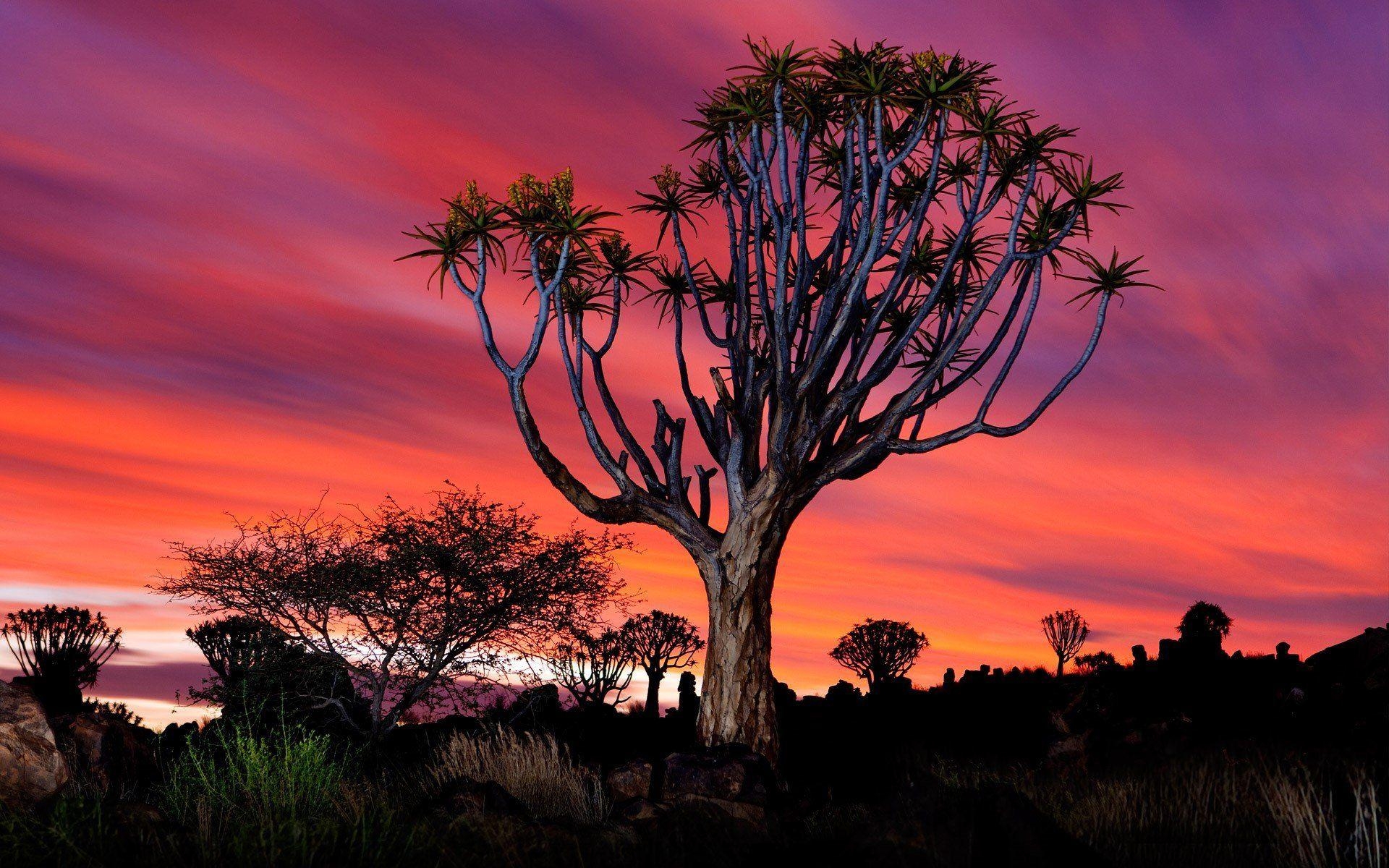 1920x1200 Namibia HD Wallpaper, Desktop