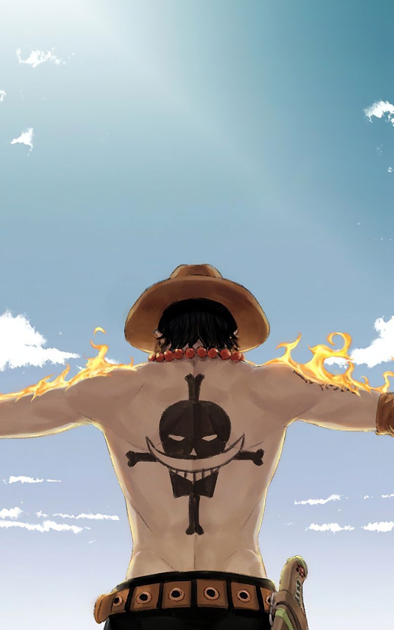 800x1280 One Piece 4k Nexus Samsung Galaxy Tab Note Android Tablets HD 4k Wallpaper, Image, Background, Photo and Picture, Phone