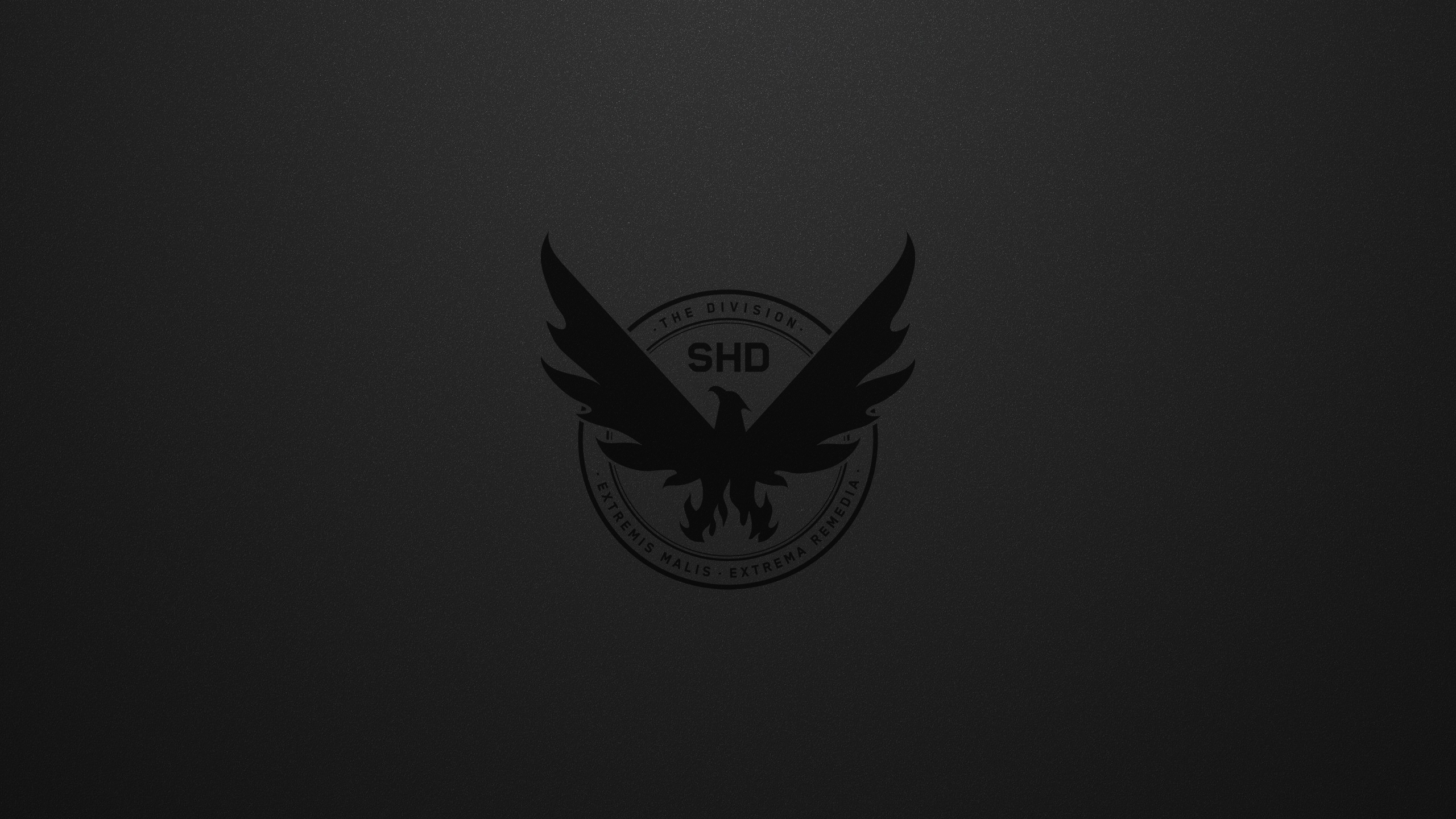 2560x1440 Tom Clancy's The Division 2 HD Wallpaper and Background, Desktop