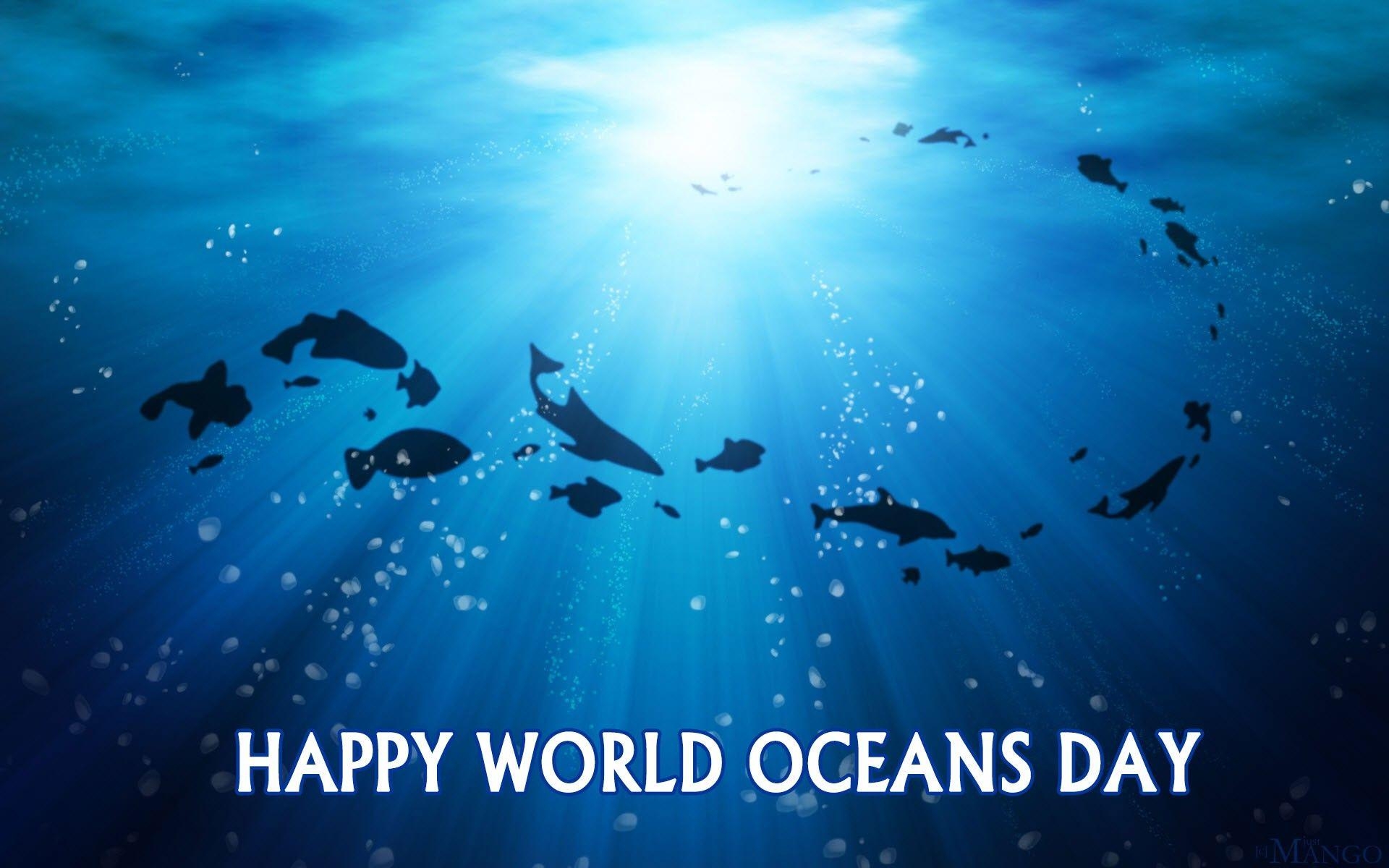 1920x1200 World Oceans Day Quotes Tablet, Desktop