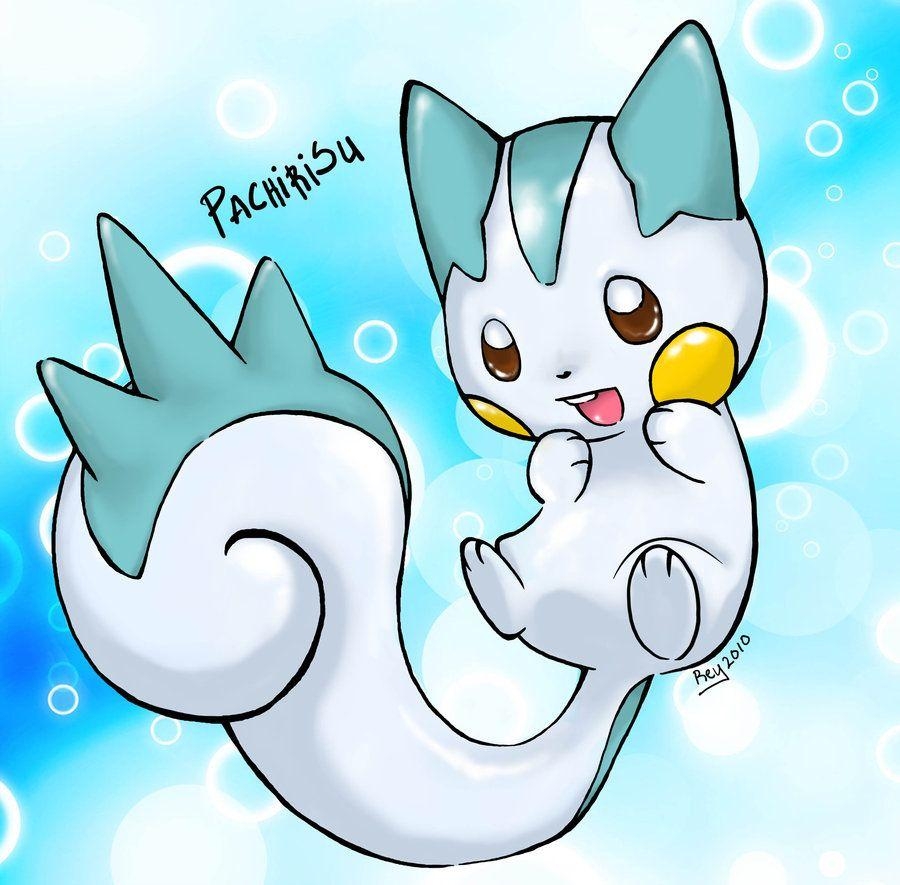 900x890 Pachirisu from Pokemon, Desktop