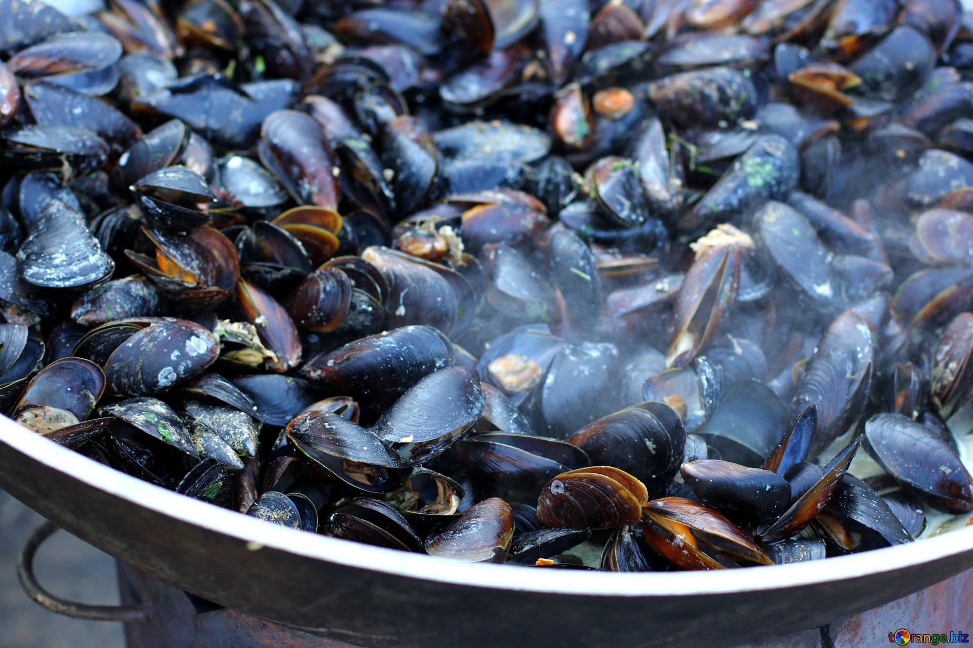 1920x1280 Seafood mussels fried trade № 47511, Desktop