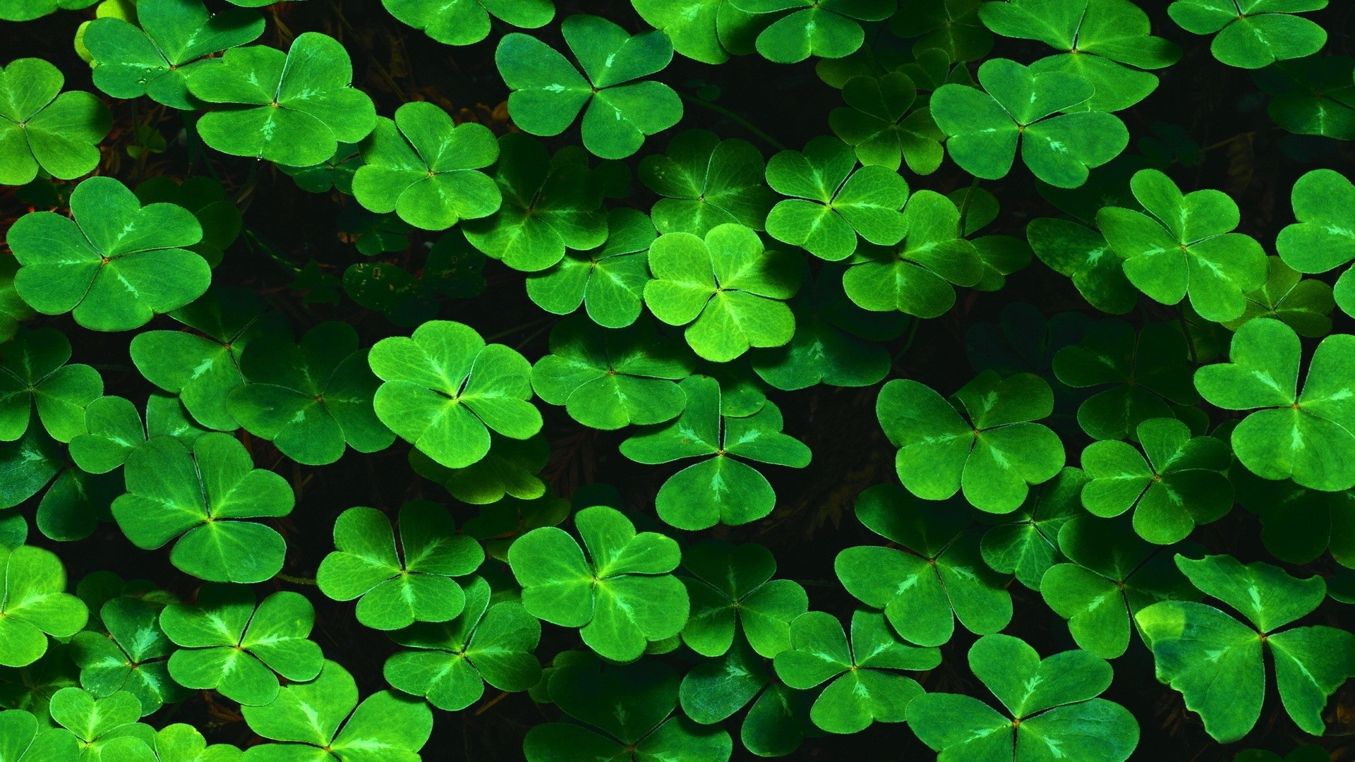 1920x1080 saint patrick day aesthetic, Desktop