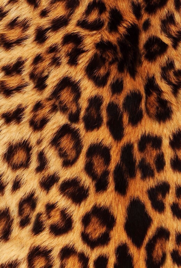 740x1090 Cheetah Print iPhone Wallpaper, Phone