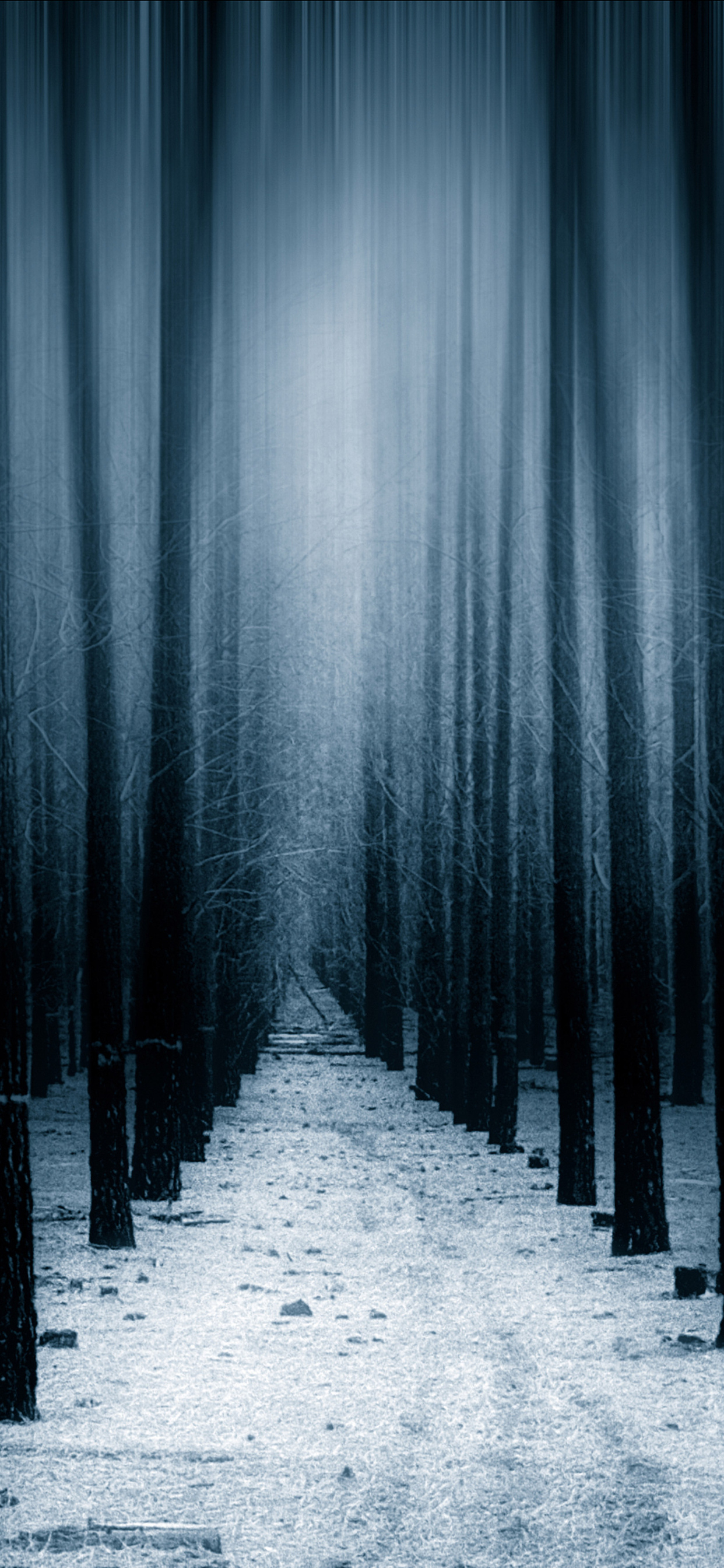 1250x2690 Dark Forest Woods Snow Winter 8k iPhone XS MAX HD 4k Wallpaper, Image, Background, Photo and Picture, Phone