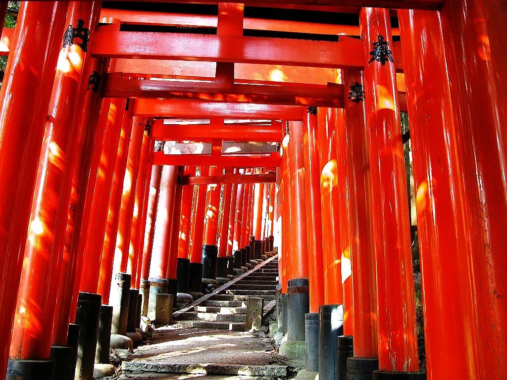 1030x770 Torii Tag wallpaper: Shrine Gate Temple Japanese Forest Japan Torii, Desktop